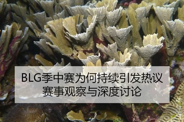 ji-zhong-sai-wei-he-chi-xu-yin-fa-re-yi-sai-shi-guan-cha-yu-shen-du-tao-lun-2-124.jpg