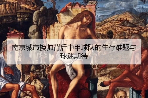 nan-jing-cheng-shi-huan-shuai-bei-hou-zhong-jia-qiu-dui-de-sheng-cun-nan-ti-yu-qiu-mi-qi-dai-2-115.jpg